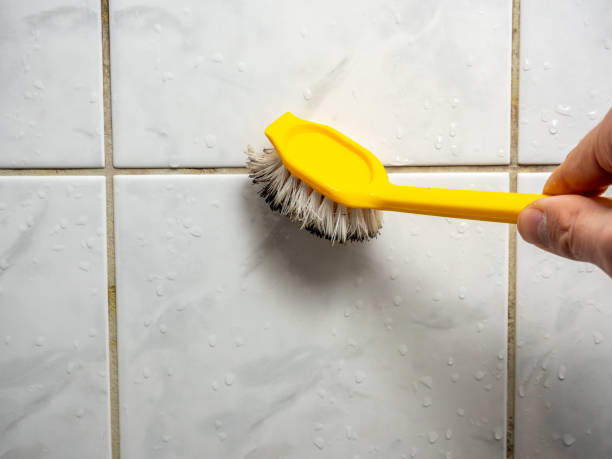Mold Removal and Inspection in Blythewood, SC